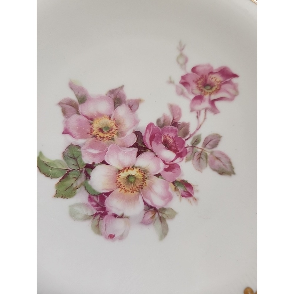 Vtg Schumann Arzberg Bavaria Germany "Wild Rose" Salad Dessert Side Plate 7.25" - Picture 4 of 9